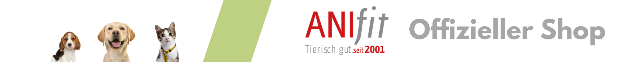 Rote-Beete Snack – Rübensaft-Power für Vitalität